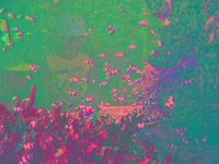 IMGP2858 edited (Medium)